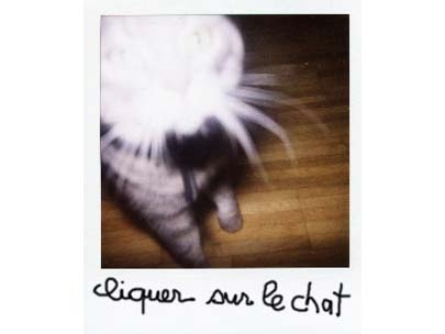 click on the cat www.iamcatseye.com