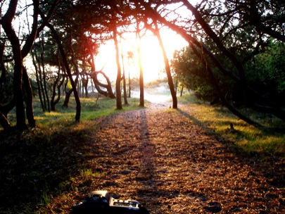 hit the shutter make something