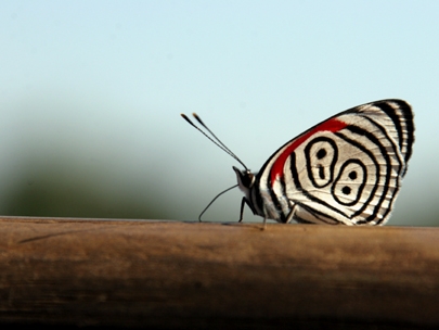 88 brings back the memories