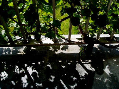 Jumping in and out of the shades