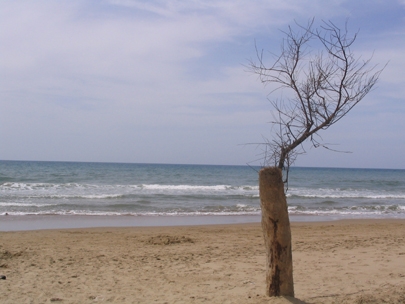 sometimes alone...and dry