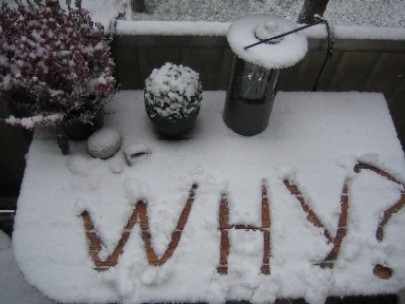 First Snow!!!!!!!!!! Yes!!!!!!!!!!!!!!