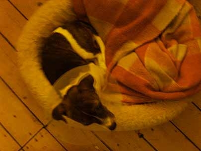 being Lazy on a sunday