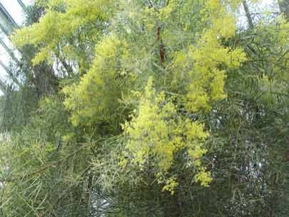 It is a gift for women in Belarus for 8th of March!