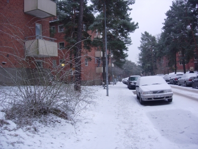 another morning walk