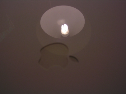 the apple does not fall far from the tree