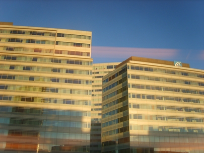 bye bye business, hello beach