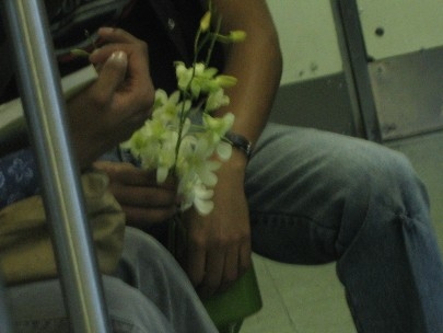  Beautiful details underground