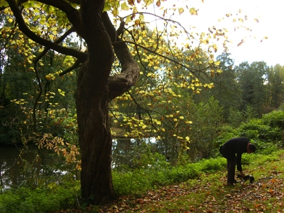 In the middle of Amsterdam