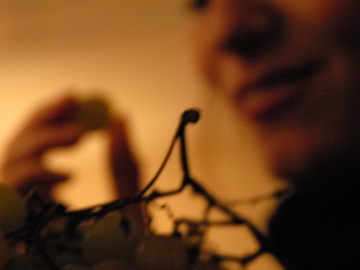 our 12 first little wishes to start the year!