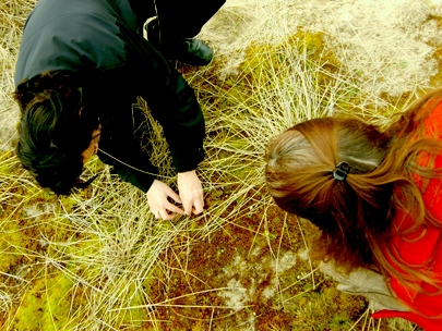 there's life out there