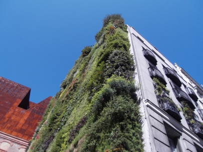 vertical gardens