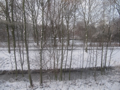 between the hague and rotterdam