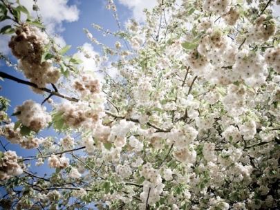 is this the start of good times? (leicester)