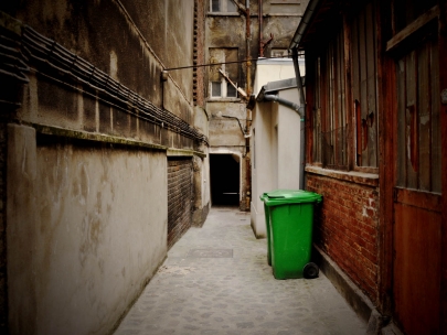 the rabbit hole, thru it a new day