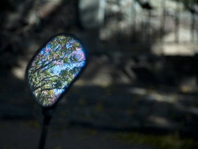 finding beauty in darkness