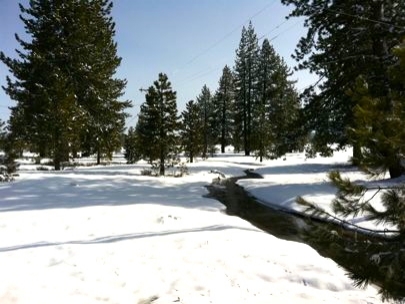 Off to North Shore!!!