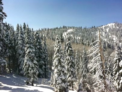 Now I know - I am in paradise!!!