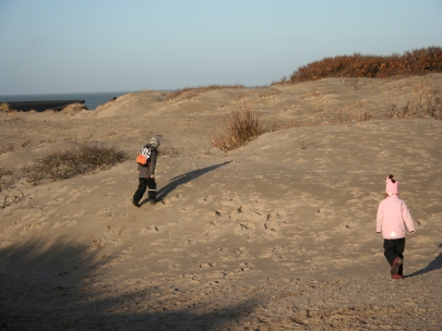 Jalle and Kaya in the dunes