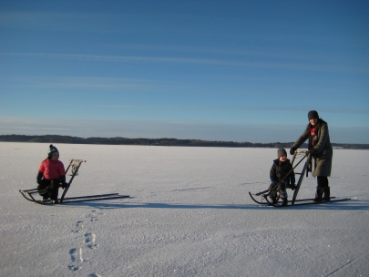 Family on ice