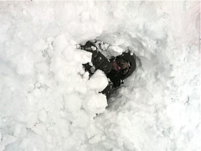 Avalanche Training with Audrey