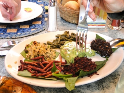 Ant eggs, worms and other Mexican delicacies