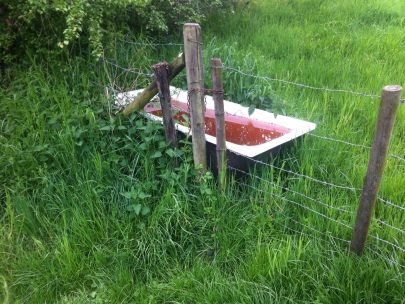 considering a new bath