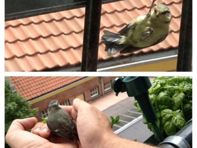 the experience of life according to tania