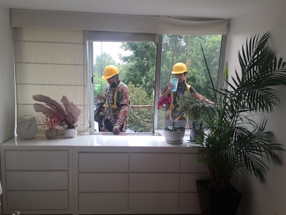 Water and cookies for them