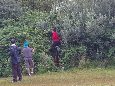 what are they picking??