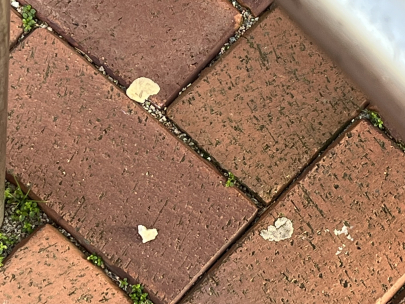 little heart at work