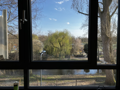 goodbye cloudgazing weeping willow 