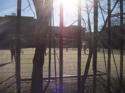 how soccer explains the world